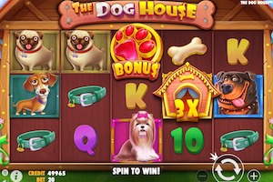 The Dog House